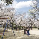 新町という街が纏う唯一無二の品格とは｜静謐と利便を極めた大阪市西区の真打ち